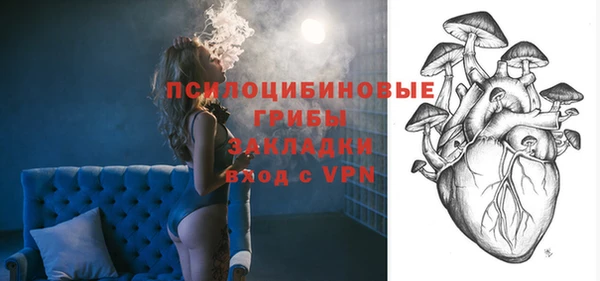 дмт Алзамай