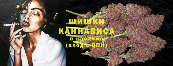 дмт Алзамай