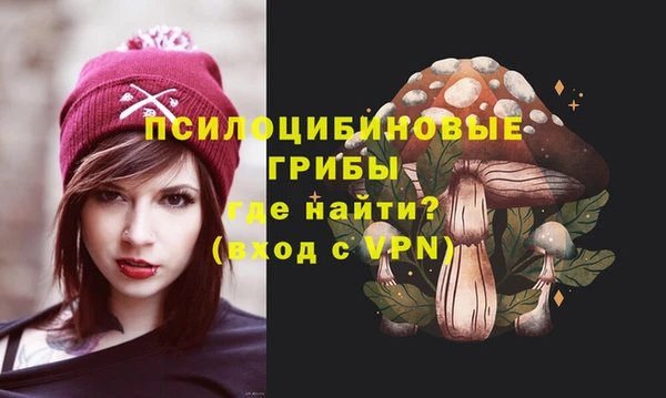 герыч Алексин