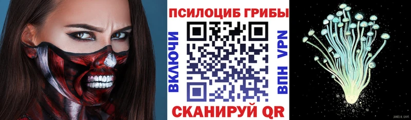 Галлюциногенные грибы Magic Shrooms где продают наркотики Красногорск