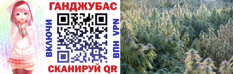 Конопля конопля  блэк спрут вход  Красногорск  как найти закладки 
